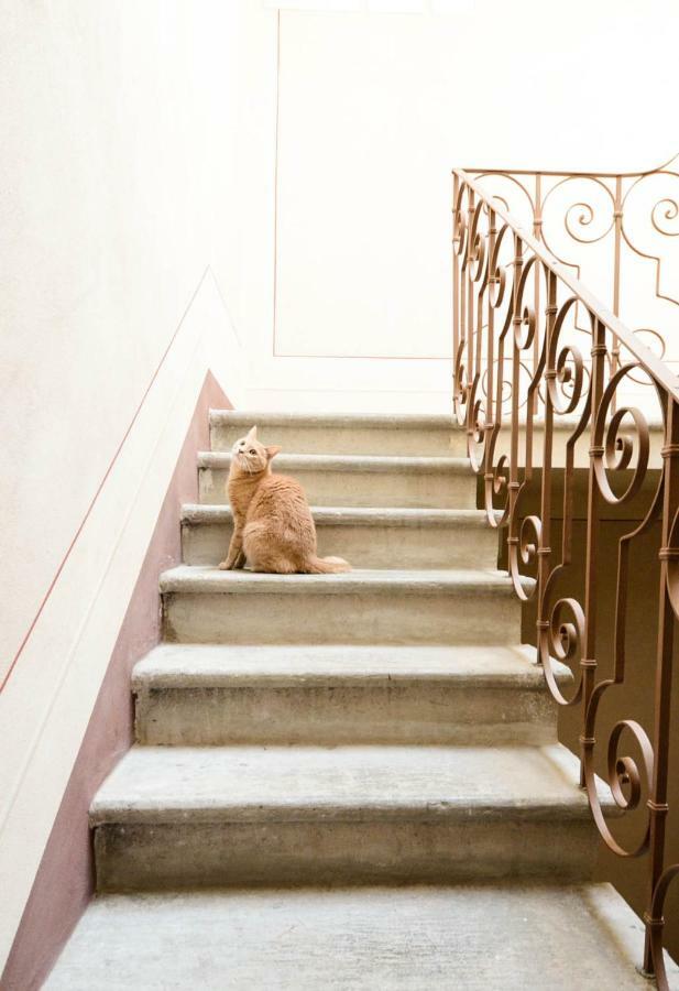 Charme Con Parcheggio Daire Lucca Dış mekan fotoğraf